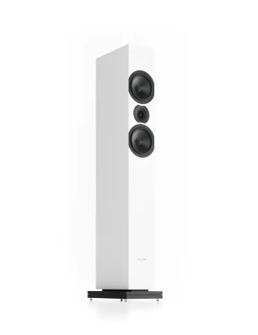 PYLON Audio Zircon 20