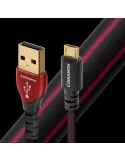 AudioQuest Cinnamon USB A-Micro B 2.0 kabelis 