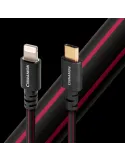 AudioQuest Cinnamon USB C-Lightning kabelis 